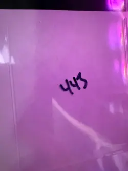 Magic the Gathering: Beta Tsunami MTG Beta - Image 3