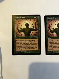 Natural Order Portal - Image 1