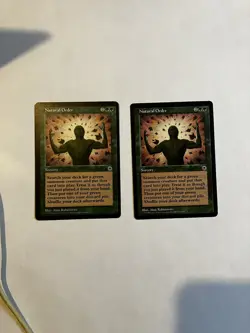 Natural Order Portal - Image 3