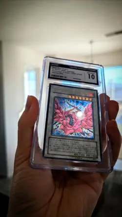 Yu-Gi-Oh CSOC-JP039 Black Rose Dragon Ultimate Rare CGC10 - Image 2