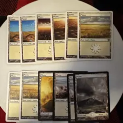 Magic: The Gathering Bulk Basic Land Lot | MTG | 12 - PLAINS - Image 1