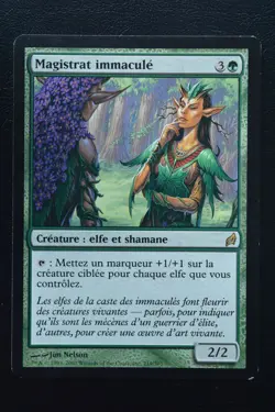 Magic The Gathering MTG IMMACULATE MAGISTRATE FRENCH Lorwyn LP Lightly Played - Image 1