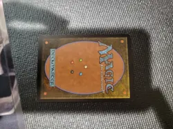 Norin the Wary - Original Time Spiral Regular MTG Chaos Magic the Gathering - Image 2