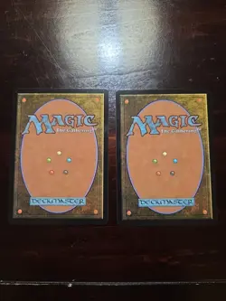 MTG Avatar-The Last Airbender: Ran and Shaw(Borderless) X2 - Image 2