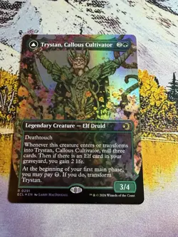 Trystan, Callous Cultivator - Foil - Borderless Lorwyn Eclipsed MTG - Image 4
