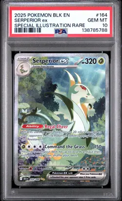 2025 POKEMON BLK EN-BLACK BOLT SPECIAL ILLUSTRATION RARE SERPERIOR EX PSA 10 - Image 1