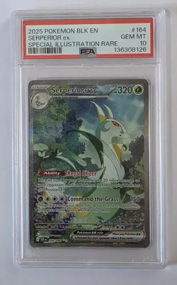 2025 POKEMON EN-BLACK BOLT SPECIAL ILLUSTRATION RARE SERPERIOR EX 164 PSA 10 - Image 3