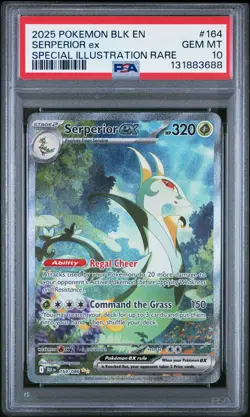 2025 POKEMON BLK EN-BLACK BOLT SPECIAL ILLUSTRATION RARE SERPERIOR EX PSA 10 - Image 1