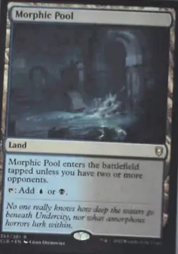 Morphic Pool - Commander Legends: Battle for Baldur's Gate: #357 Lp C288 - Image 1