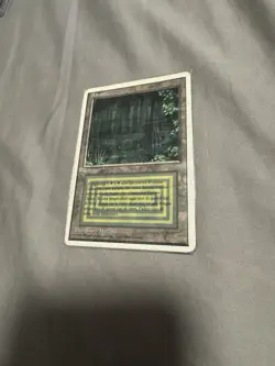 Magic: The Gathering Bayou Revised FWB HP Italian Magic The Gathering - Image 1