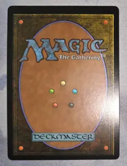 MTG Seasoned Pyromancer Borderless Foil NM - Pro Tour Promo - Secret Lair Prize - Image 2