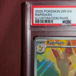 2025 POKEMON SV - DRI EN #189/182 RAPIDASH ILLUSTRATION RARE PSA 10 - Image 3