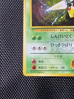 Koga's Beedrill 015 Pokemon Gym Challenge Japanese Holo NM - Image 5