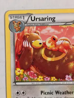 Ursaring RC16/RC25 Legendary Treasures: Radiant Collection Holo Stars Pokemon - Image 4
