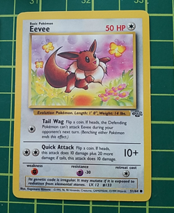 1999 WotC Pokemon Lot (9) Fossil Holo Ditto, Jungle Pidgeot/Eevee, Base Magikarp - Image 2
