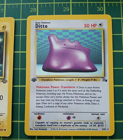 1999 WotC Pokemon Lot (9) Fossil Holo Ditto, Jungle Pidgeot/Eevee, Base Magikarp - Image 3