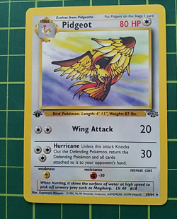 1999 WotC Pokemon Lot (9) Fossil Holo Ditto, Jungle Pidgeot/Eevee, Base Magikarp - Image 5