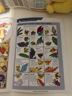 Pokemon Natural History Museum Pikachu Jumbo Card, plush And Ecology Booklet - Image 3