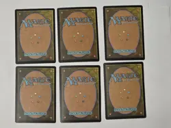6 (FOIL) Full Art Basic Lands MTG Assorted Card Lot LP - Image 2