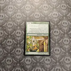 Elvish Harbinger Mtg Lorwyn NM Magic the Gathering - Image 2