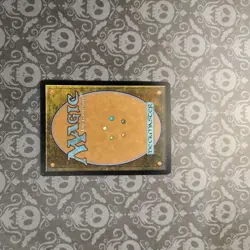 Elvish Harbinger Mtg Lorwyn NM Magic the Gathering - Image 4