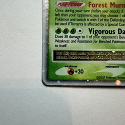 Torterra LV.X DP Black Star Promotional DP09 Holo Promo - Pokemon TCG - Image 5
