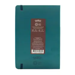 Pokemon X Natural History Museum - Eevee Teal & Gold Ruled Notebook - IN HAND - Image 2