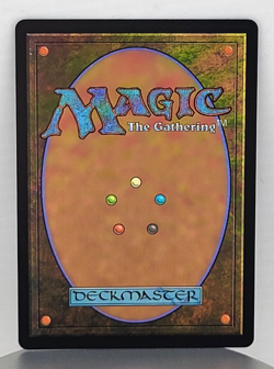 Rhys, the Evermore - Lorwyn Eclipsed (ECL) - Image 2