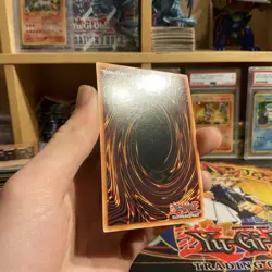 XX-Saber Faultroll - ANPR-EN035 NM+ - Unlimited - Super - Yugioh - Image 5