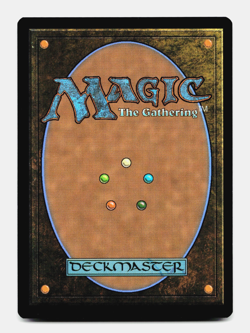 Chomping Changeling X4 [Lorwyn Eclipsed] Magic - MTG NM 🌳 - Image 5