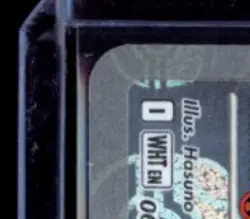 2025 POKEMON SV WHITE FLARE - WHT EN FERROSEED REVERSE HOLO MASTER BALL COMMON - Image 3