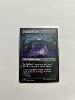 Overgrown Tomb (Borderless) Lorwyn Eclipsed Regular Near Mint - Image 1