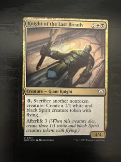 Drana and Linvala March of the Machine Foil Plus 4 more cards - Image 3