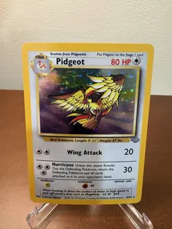 Pokemon TCG Pidgeot Jungle Holo Card 8/64 Unlimited Rare LP-NM Condition - Image 1