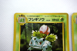 Pokemon TCG Venusaur Expansion Pack & Ivysaur & Bulbasaur Set of 3 (Japanese) - Image 3