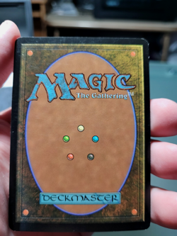 MTG Scourge Carrion Feeder 59, Moderately Played, Regular, Ships Quickly - Image 3