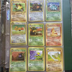 Pokemon Binder Lot Collection Old Backs German French Japanese 1996 Vintage - Image 5