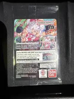 One Piece Monkey.D.Luffy US College Basketball Promo Card Rutgers SGA IN HAND - Image 2