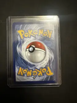 Pokemon Eevee SVP 173 Scarlet & Violet Promo Pokemon Center Holo 50 HP Card - Image 3
