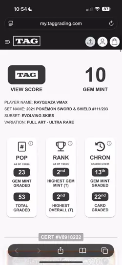 Rayquaza Vmax Gem Mint TAG 10 Full Art Evolving Skies 111/203 Pokemon Card - Image 3