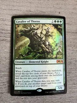FOIL Cavalier of Thorns ~ Prerelease Core 2019 [ Light play ] [ Magic MTG ] - Image 1