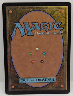 Natural Order Strixhaven: Mystical Archives Regular NM MTG - Image 2