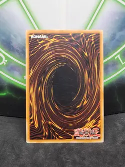Yugioh Red-Eyes Darkness Dragon SD1-EN001 Ultra Rare 1st Edition NM - Image 2