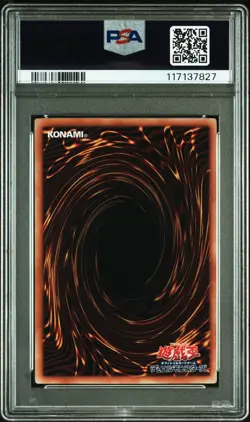 2024 YU-GI-OH! JPN INFO-THE INFINITE FORBIDDEN RUCIA OF THE WHITE FOREST PSA 10 - Image 2