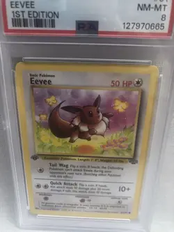 PSA 8 Pokemon WOTC 1999 1st Edition Jungle Eevee Common 51/64 NM-MT - Image 2