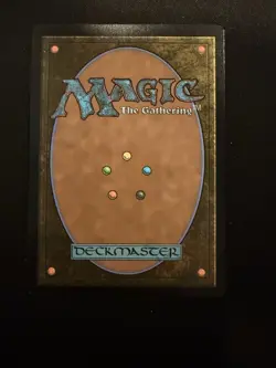 MTG The Walls of Ba Sing Se (261) | NM | Avatar: The Last Airbender - Image 2