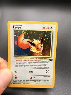Pokemon 2000 Eevee Black Star Promo #11 Near Mint 🌀"Swirl Above Its Tail - Image 2