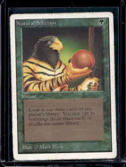 1993 Magic: The Gathering Unlimited Natural Selection #NNO - Image 1