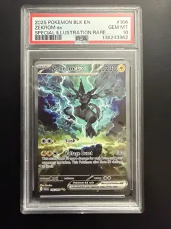 Pokemon 2025 Black Bolt Zekrom ex #166/086 SIR GEM MT PSA 10 - Image 1