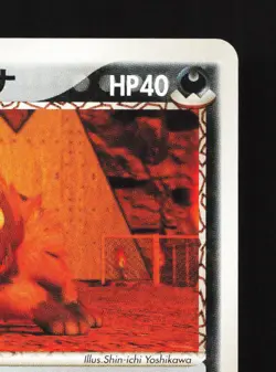 Team Magma's Poochyena 020/033 Magma Half Deck 1 LP 1st ED Japanese Pokemon Card - Image 3
